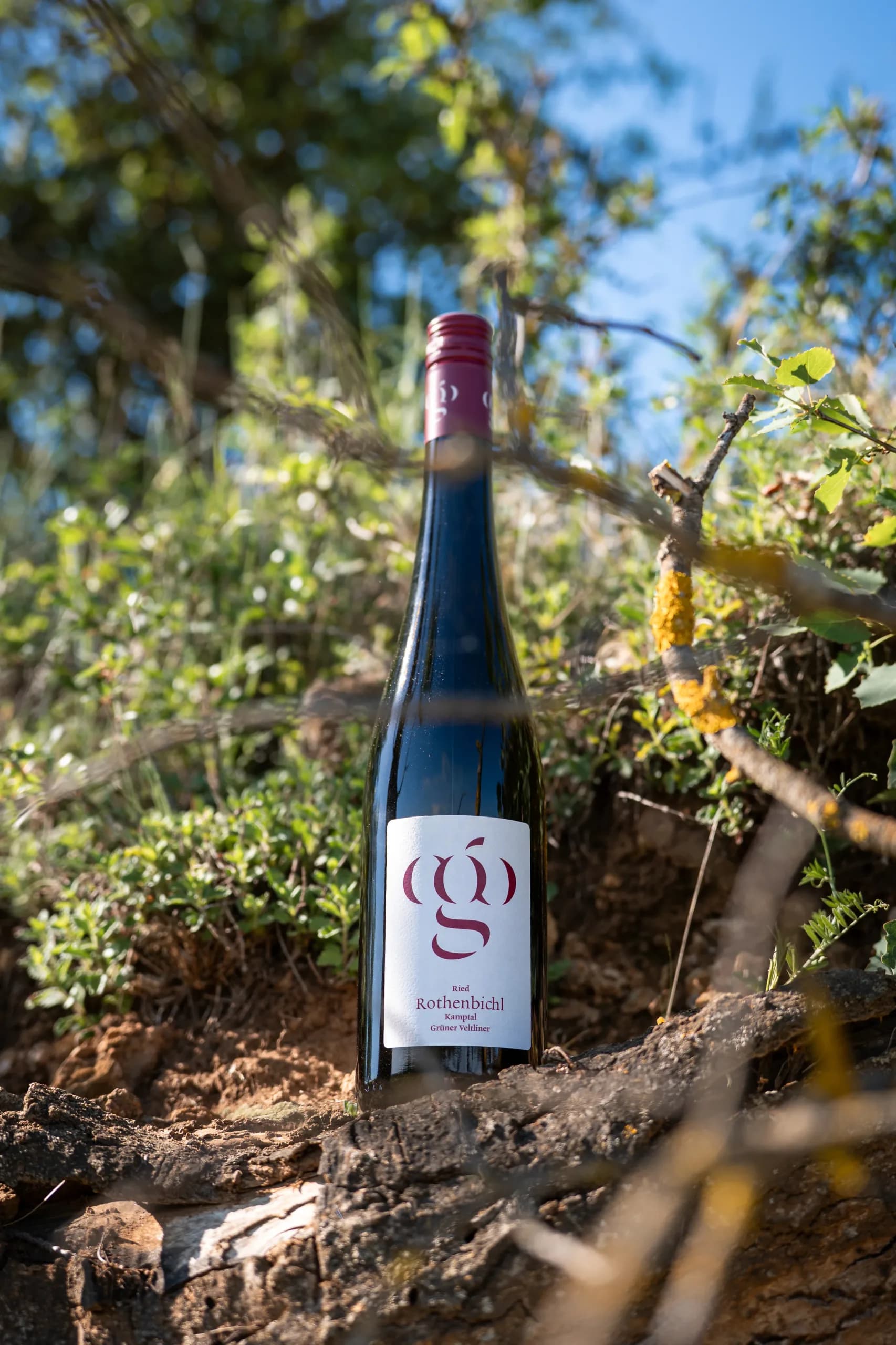 gruener veltliner ried rothenbichl wein