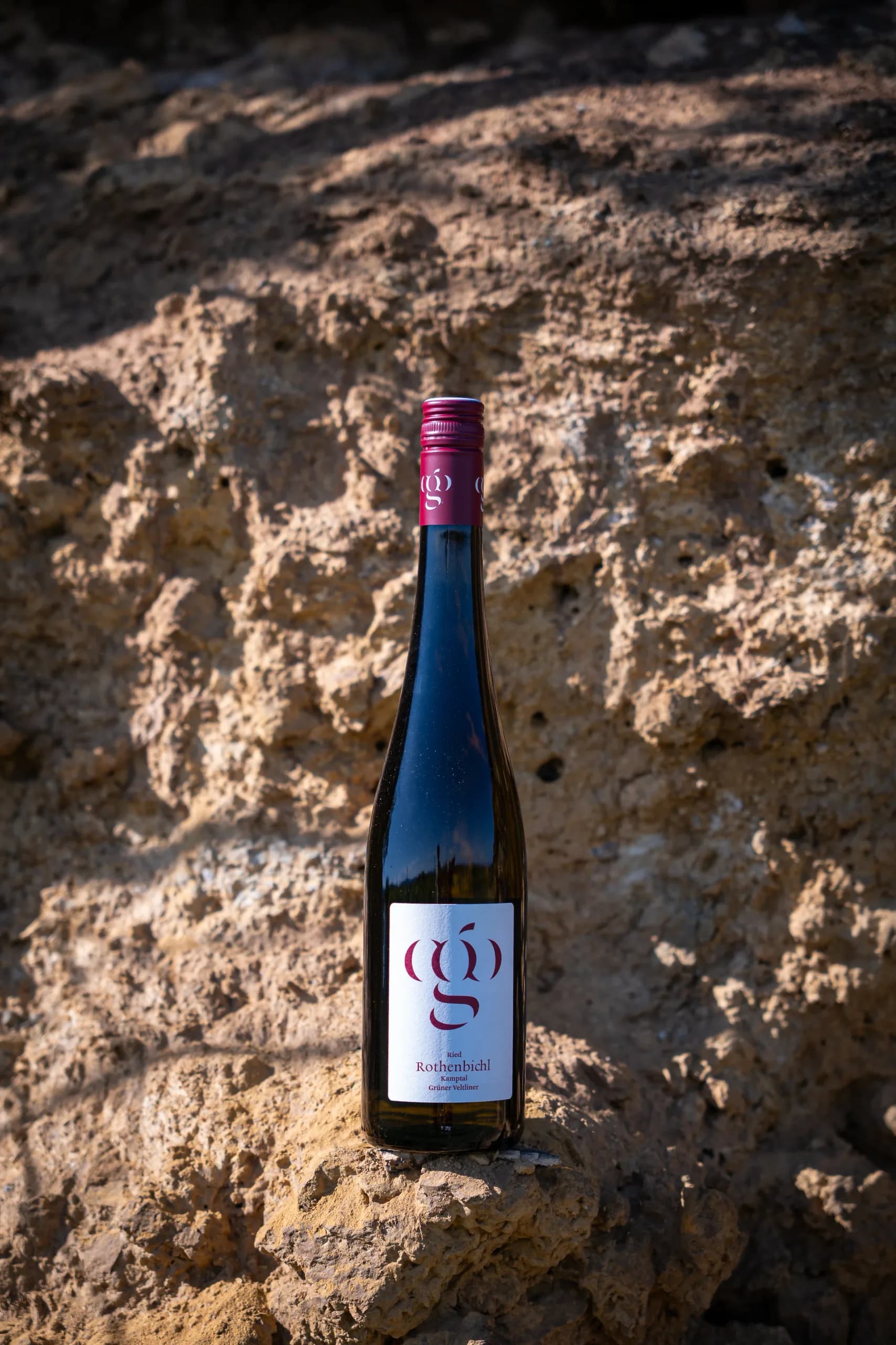 gruener veltliner wein rothenbichl foto